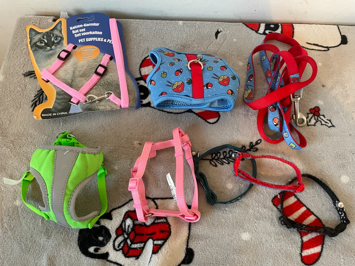 Cat/Kitten Harnesses & Collars Lot