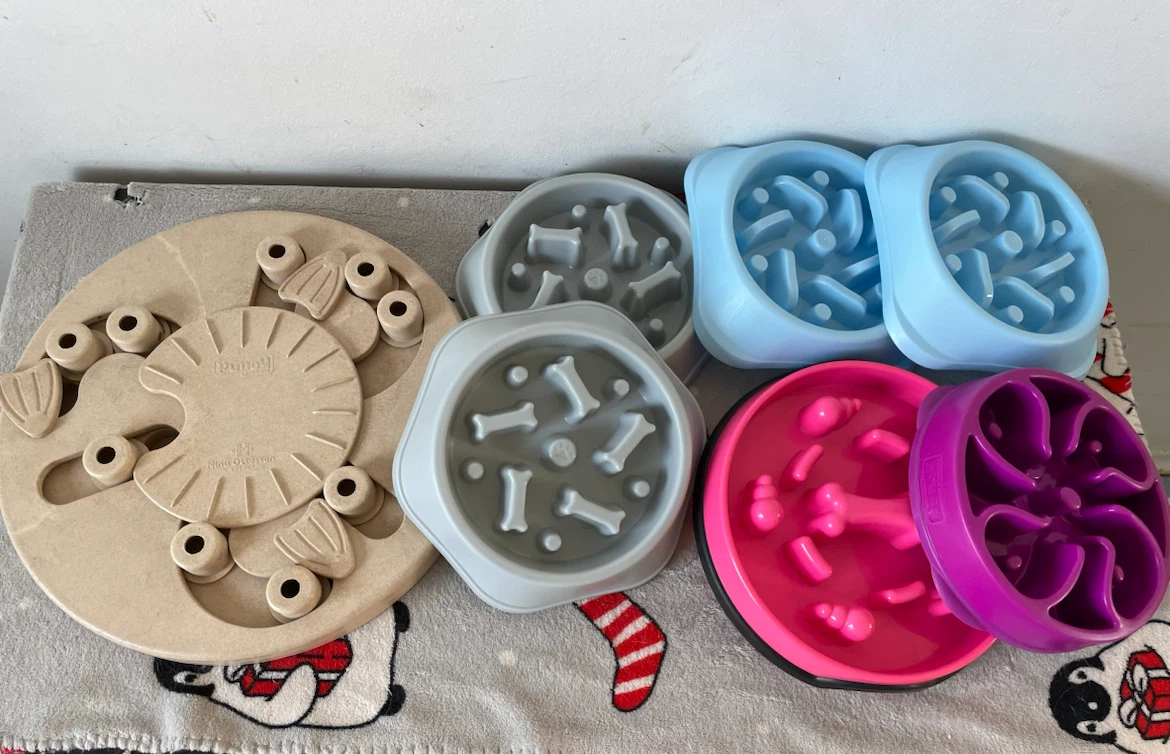Dog Slow Feeders Lot