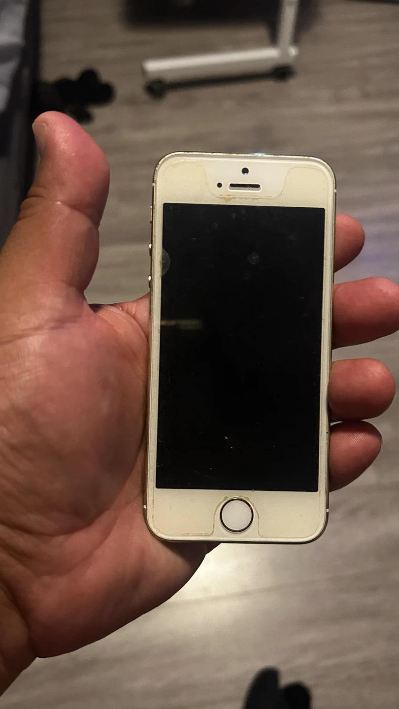 Apple iPhone 5s