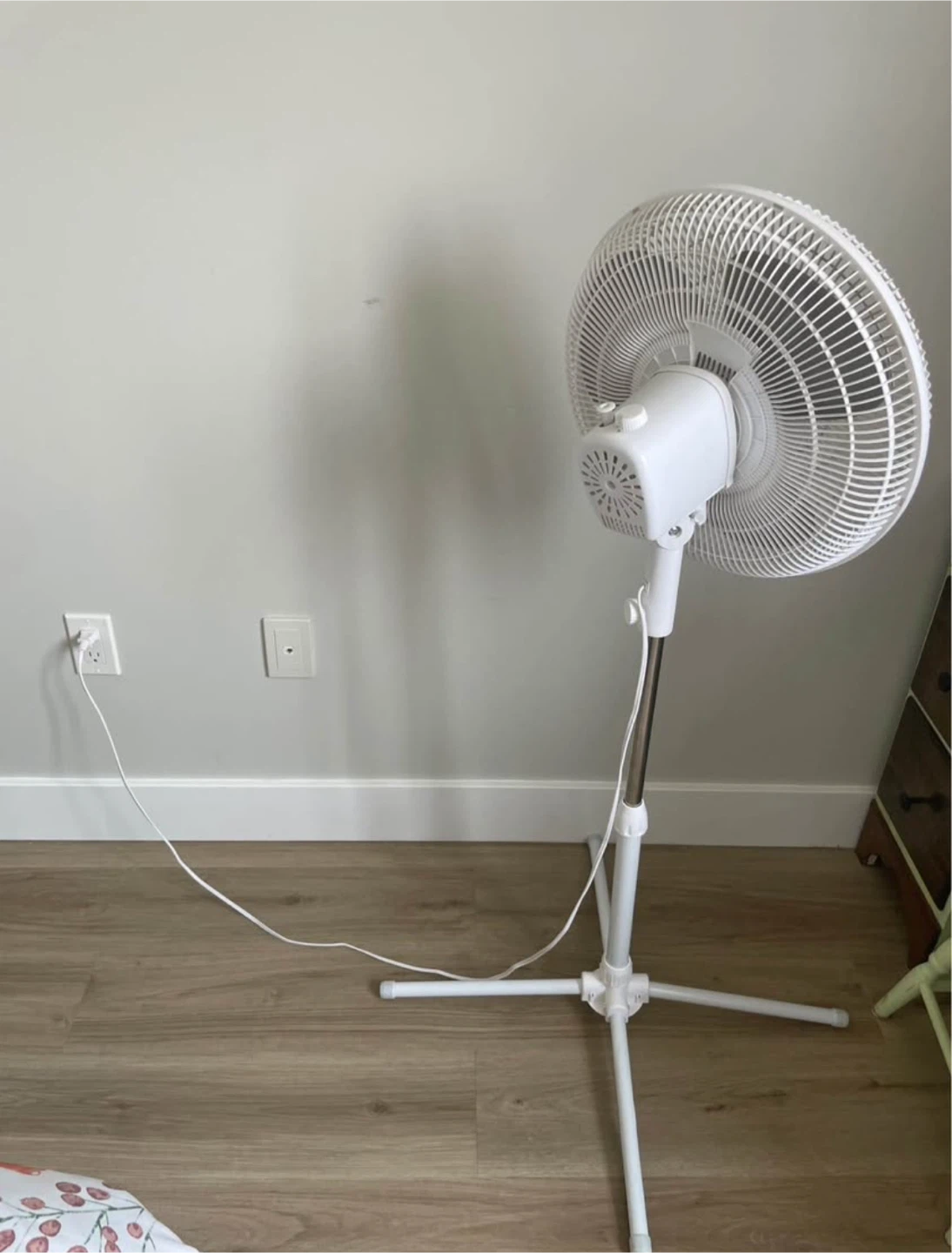 Standing fans (x2) - photo 2