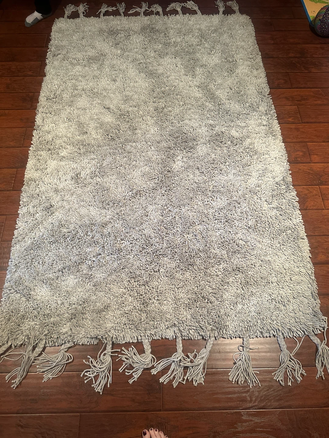 Pottery Barn Grey Shag Rug with Tassels