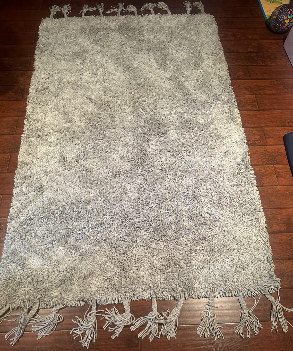 Pottery Barn Grey Shag Rug with Tassels - photo 2
