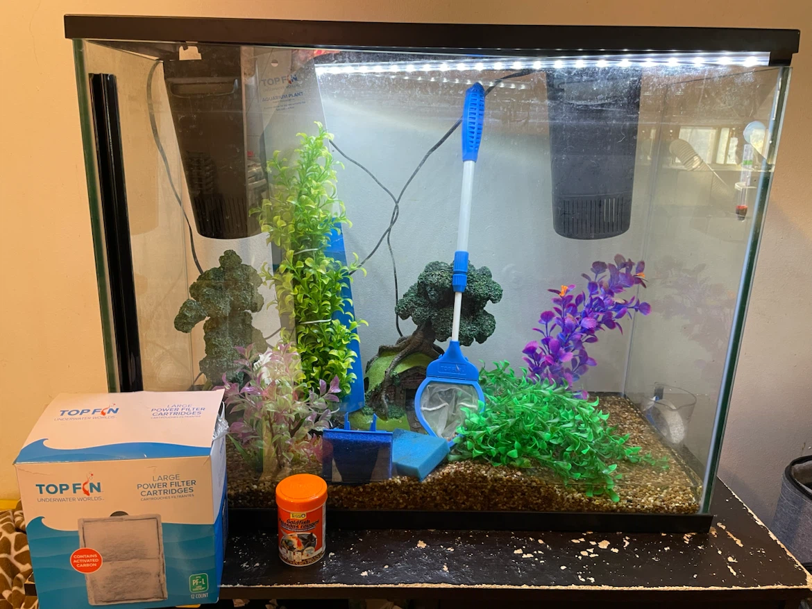 37 Gallon Fish Tank Setup (FIRM PRICE)