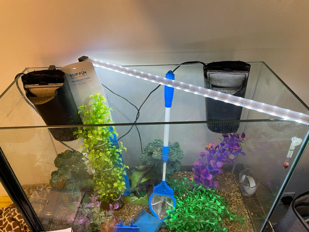 37 Gallon Fish Tank Setup (FIRM PRICE) - photo 2