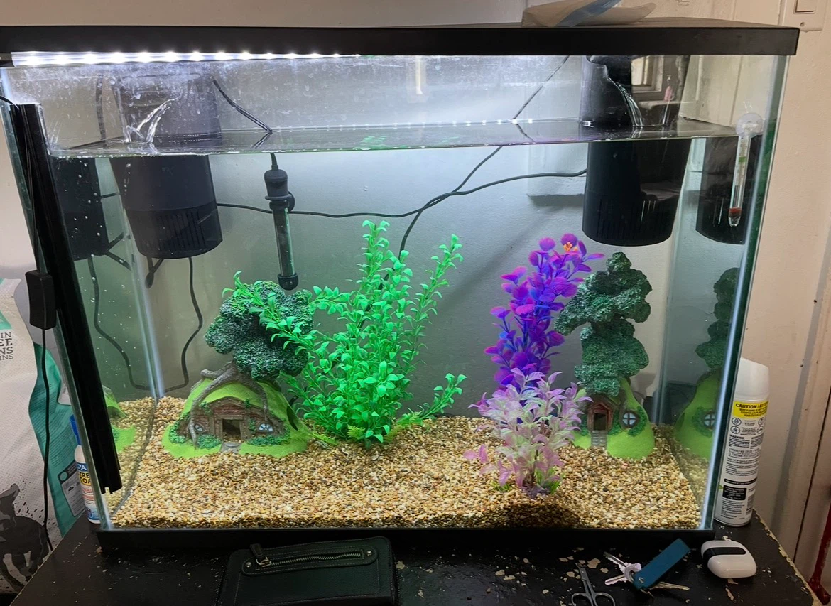 37 Gallon Fish Tank Setup (FIRM PRICE) - photo 4