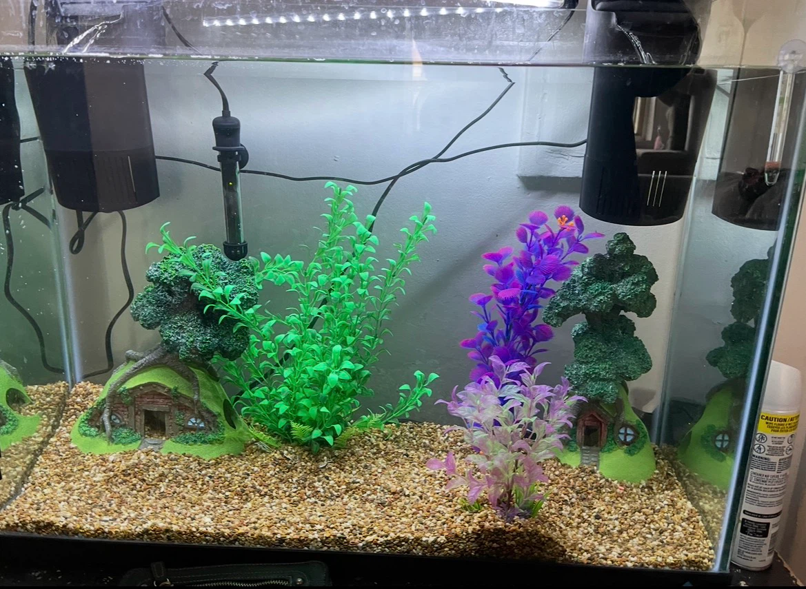 37 Gallon Fish Tank Setup (FIRM PRICE) - photo 5