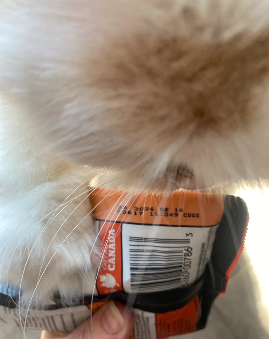 FREE! Cat food sample and freeze dried Chicken hearts - photo 3