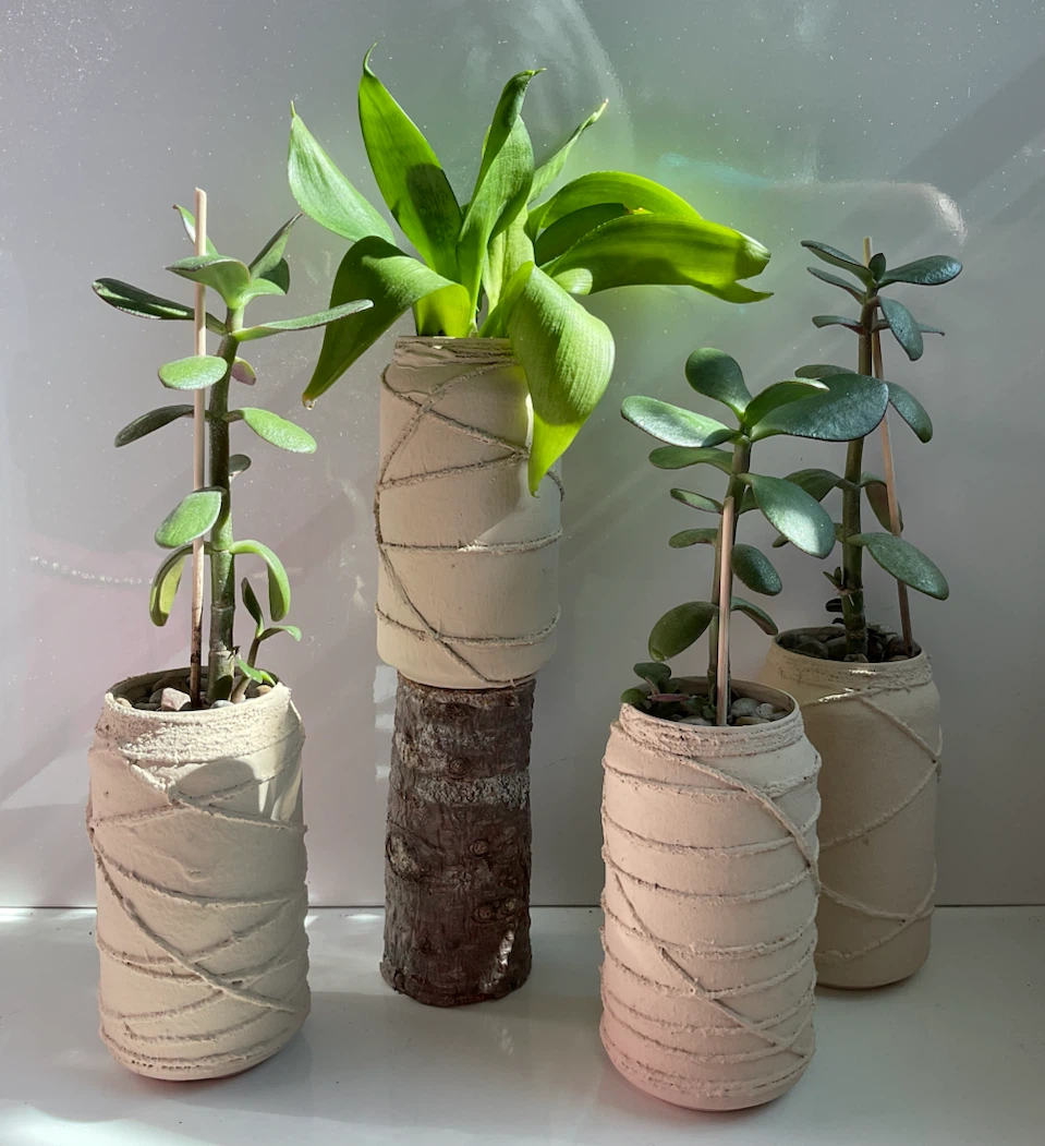Potted Jade and Snake Plants - photo 3