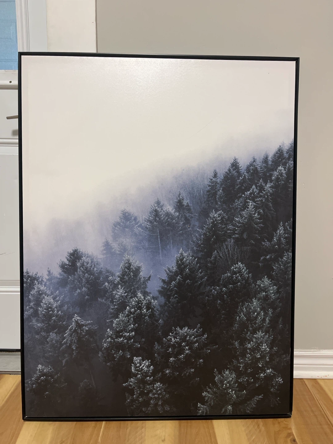 Misty Forest Canvas Wall Art