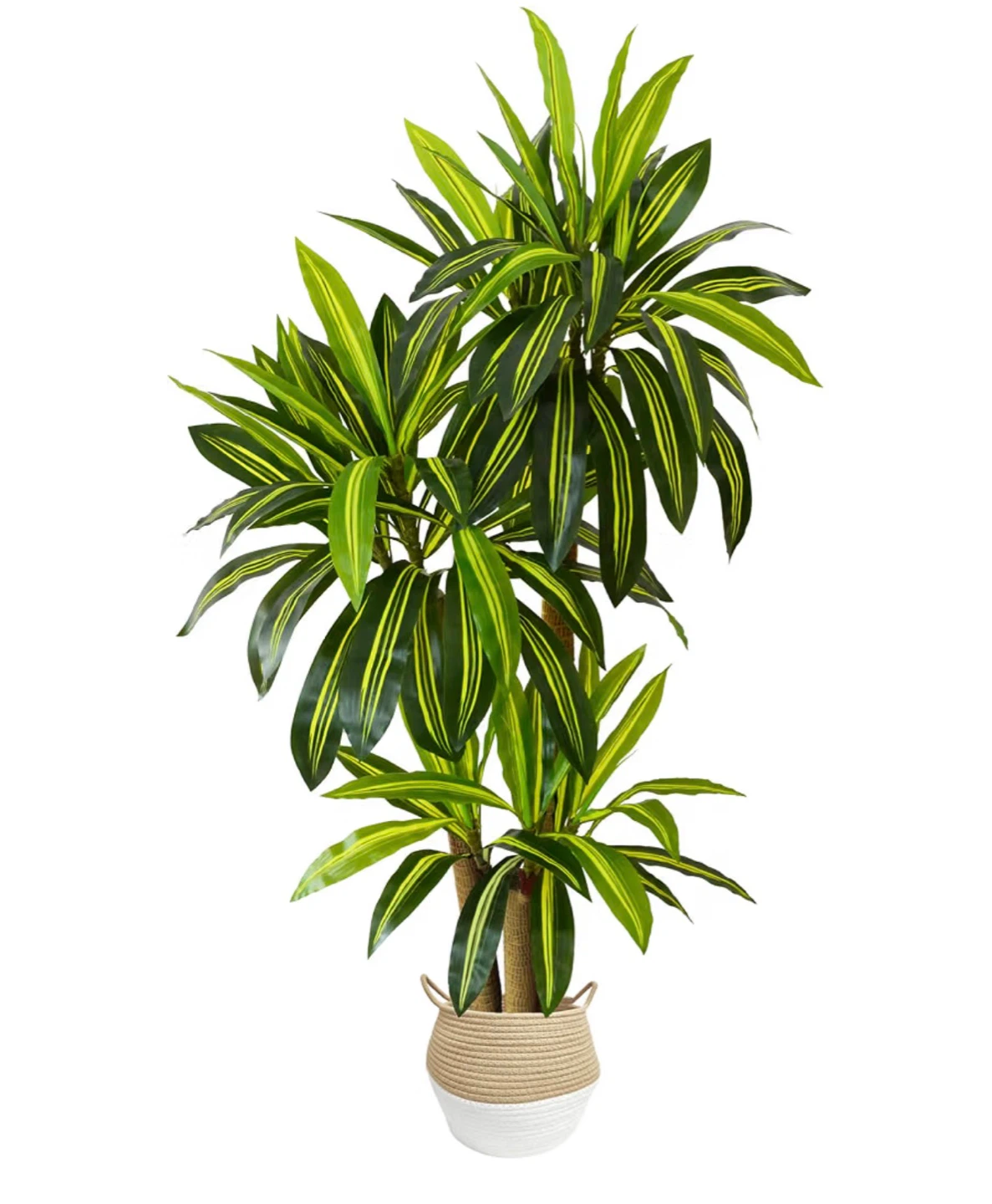 Warmplants Artificial Dracaena Tree 6ft BNIB - photo 2