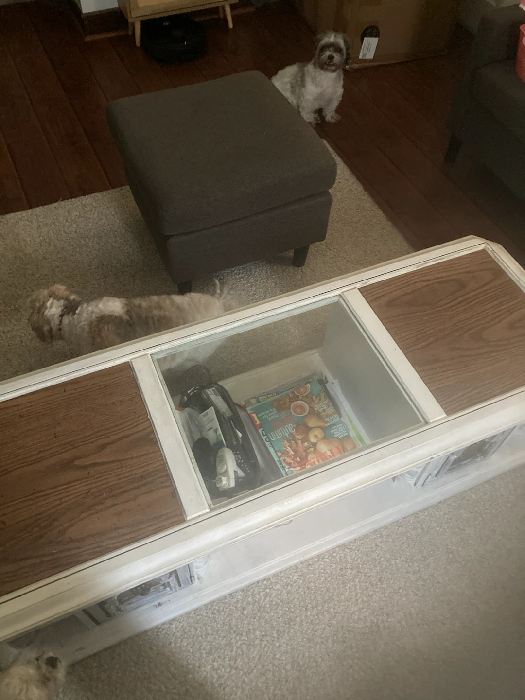Vintage Coffee Table with Glass Top and Storage Shelf - photo 2