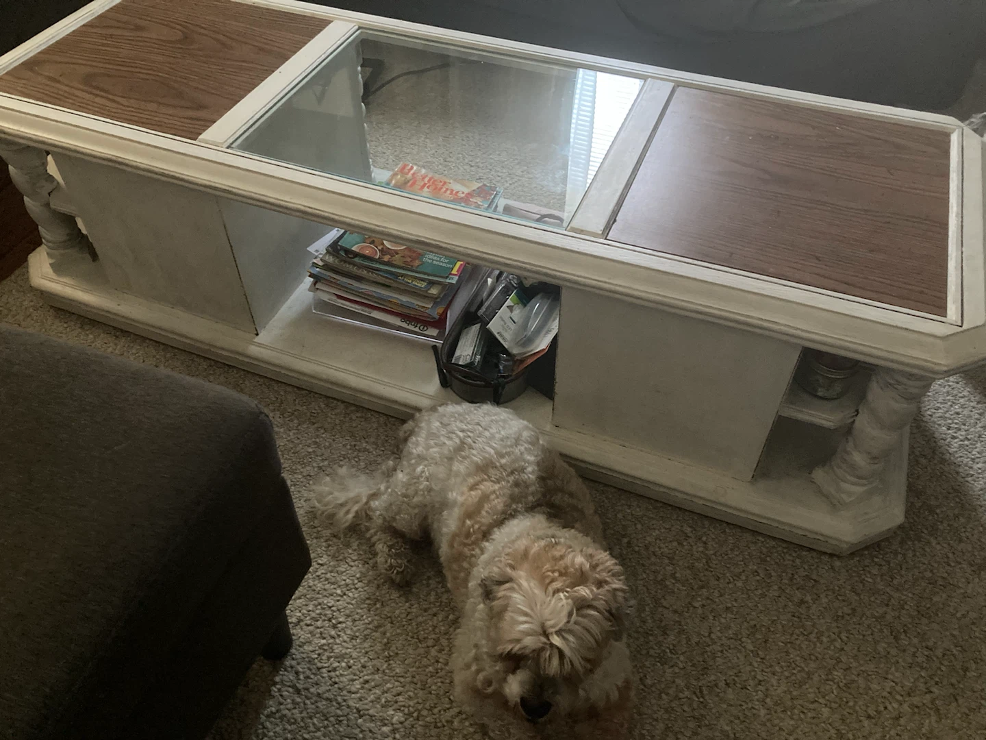Vintage Coffee Table with Glass Top and Storage Shelf - photo 4