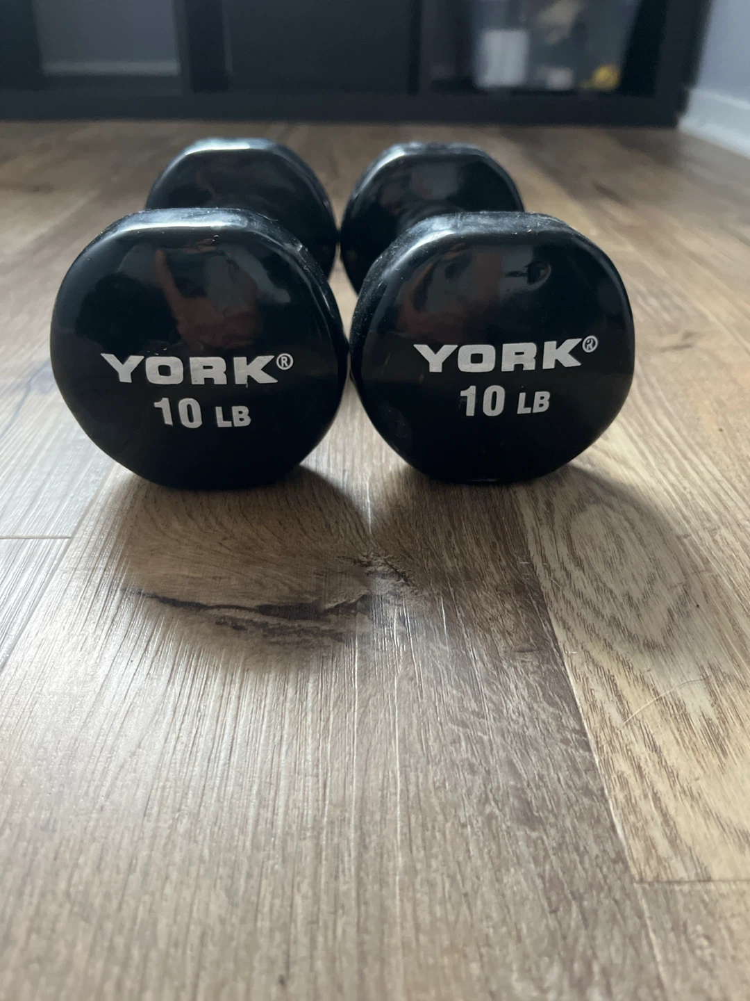 10 LB Dumbbells (Pair)