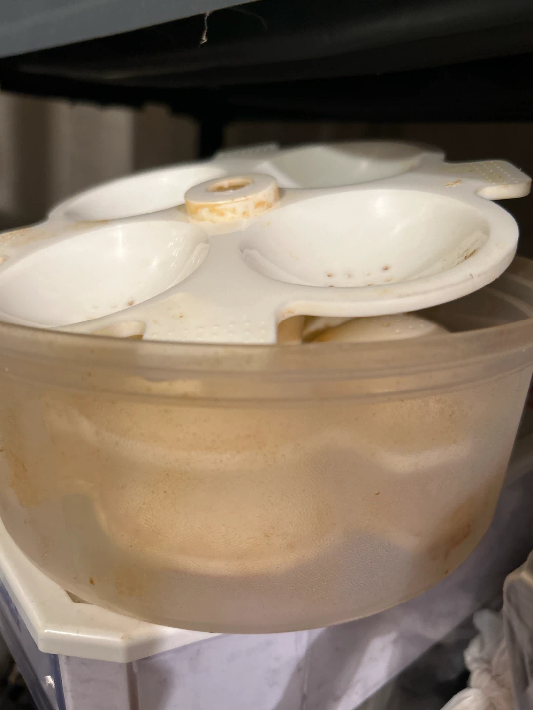 Idli Maker Steamer Container