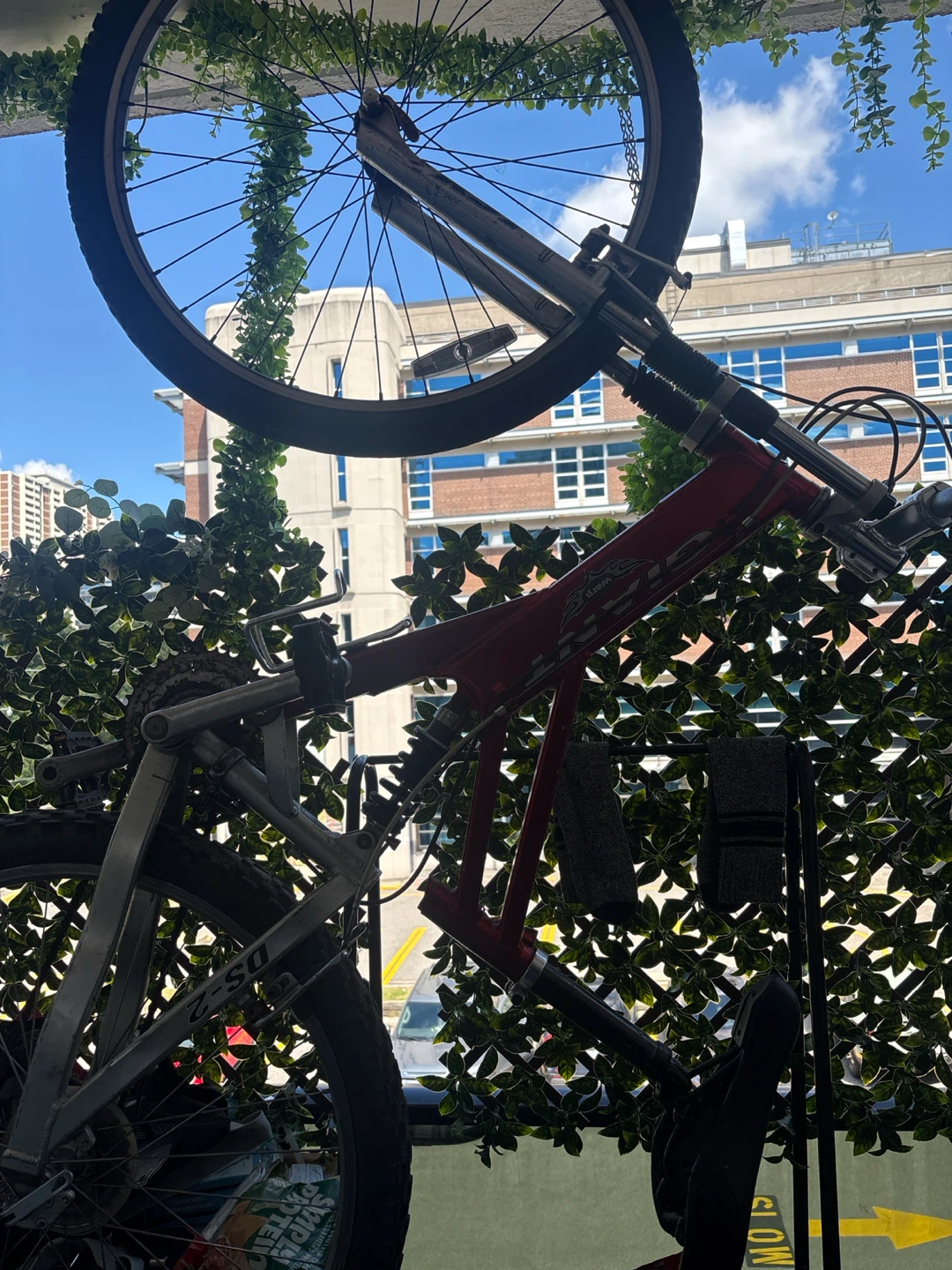 Red DS-2 Mountain Bike