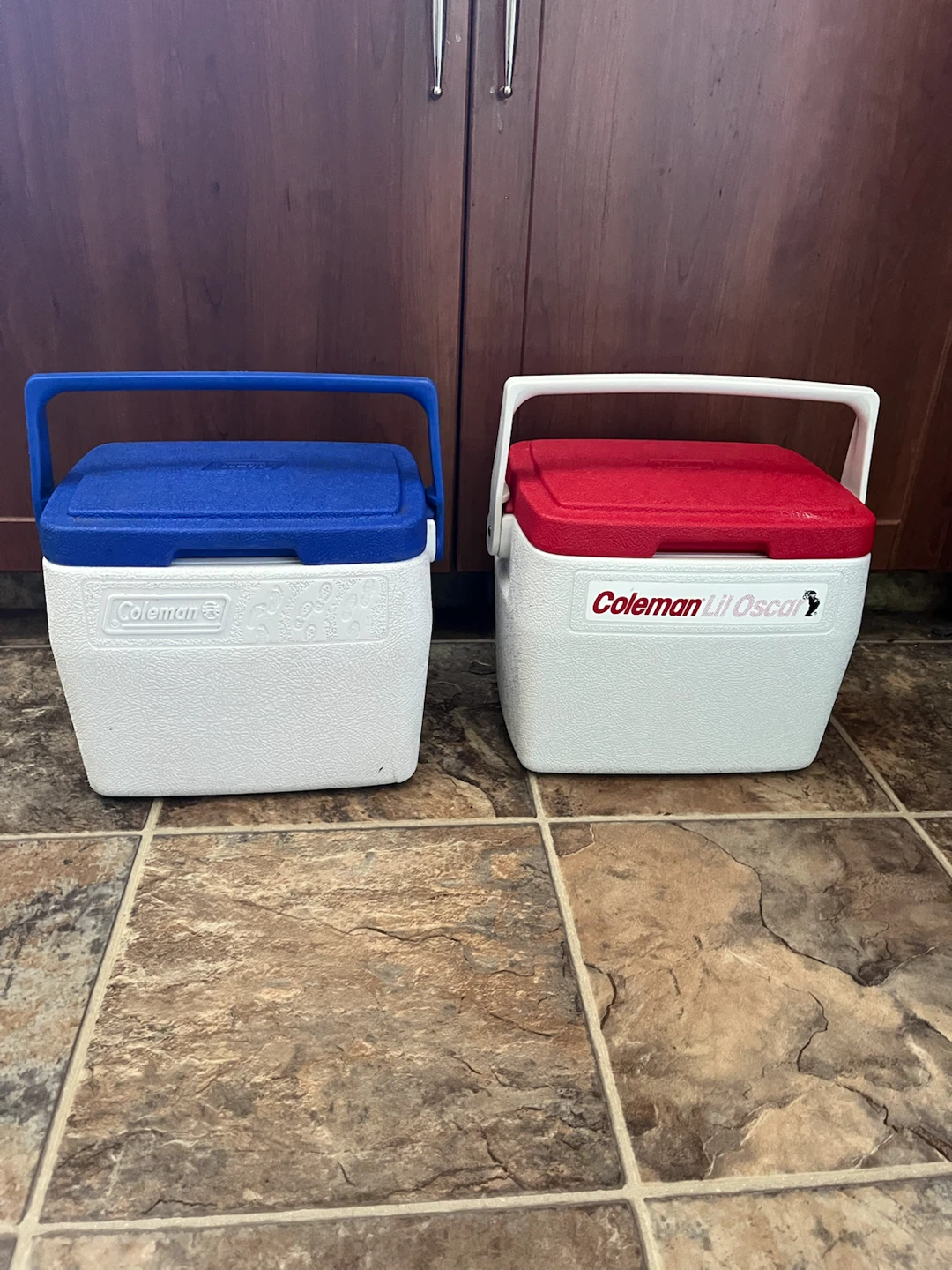 Coleman Lil' Oscar Coolers