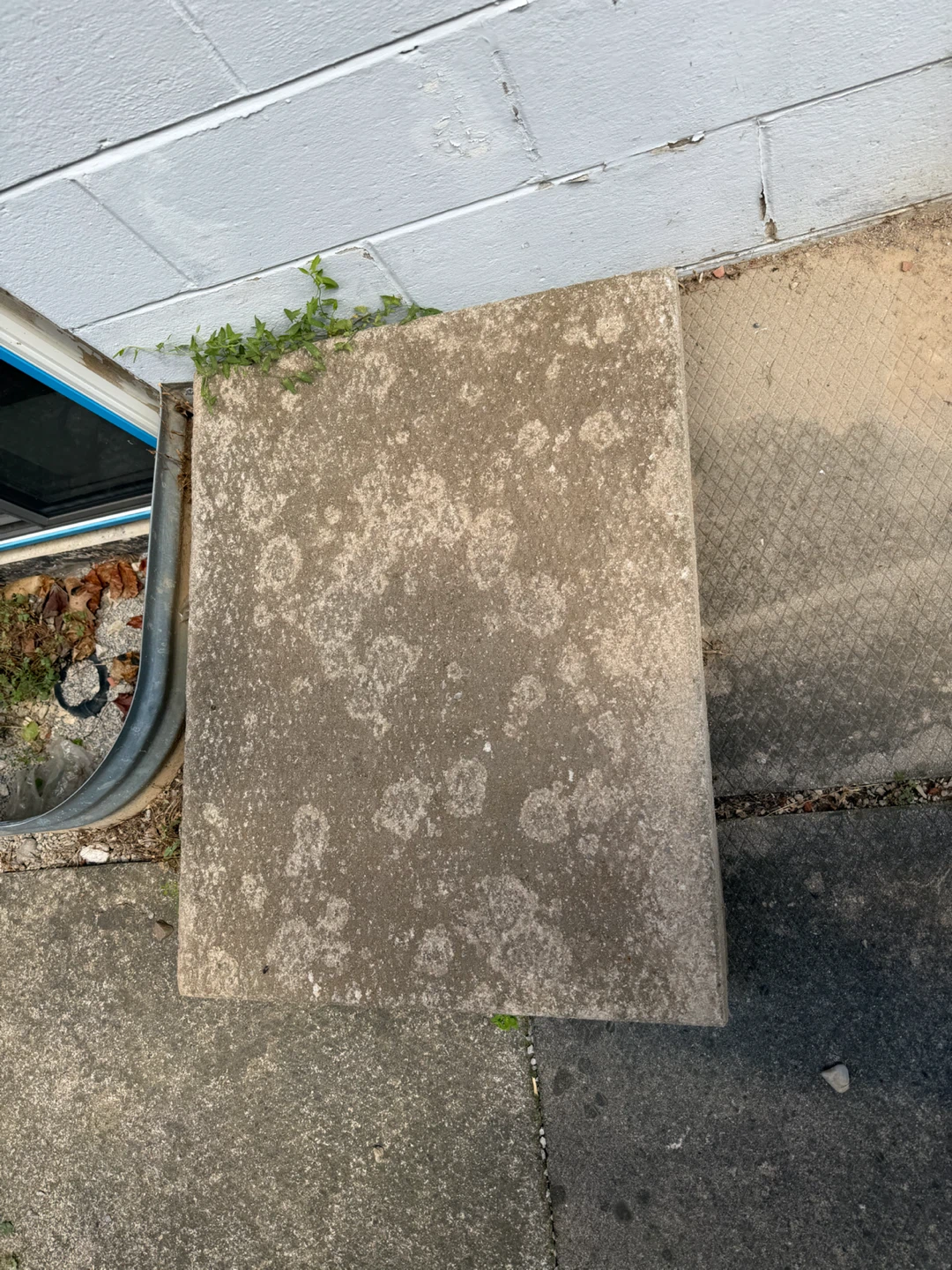 Concrete slabs and bricks - photo 2