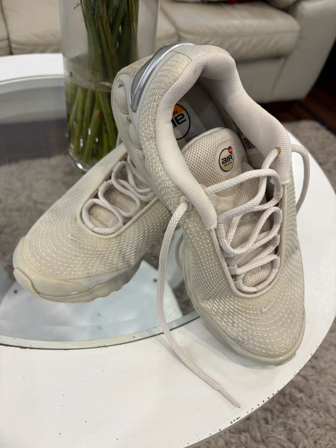 Nike Air Max TN Shoes