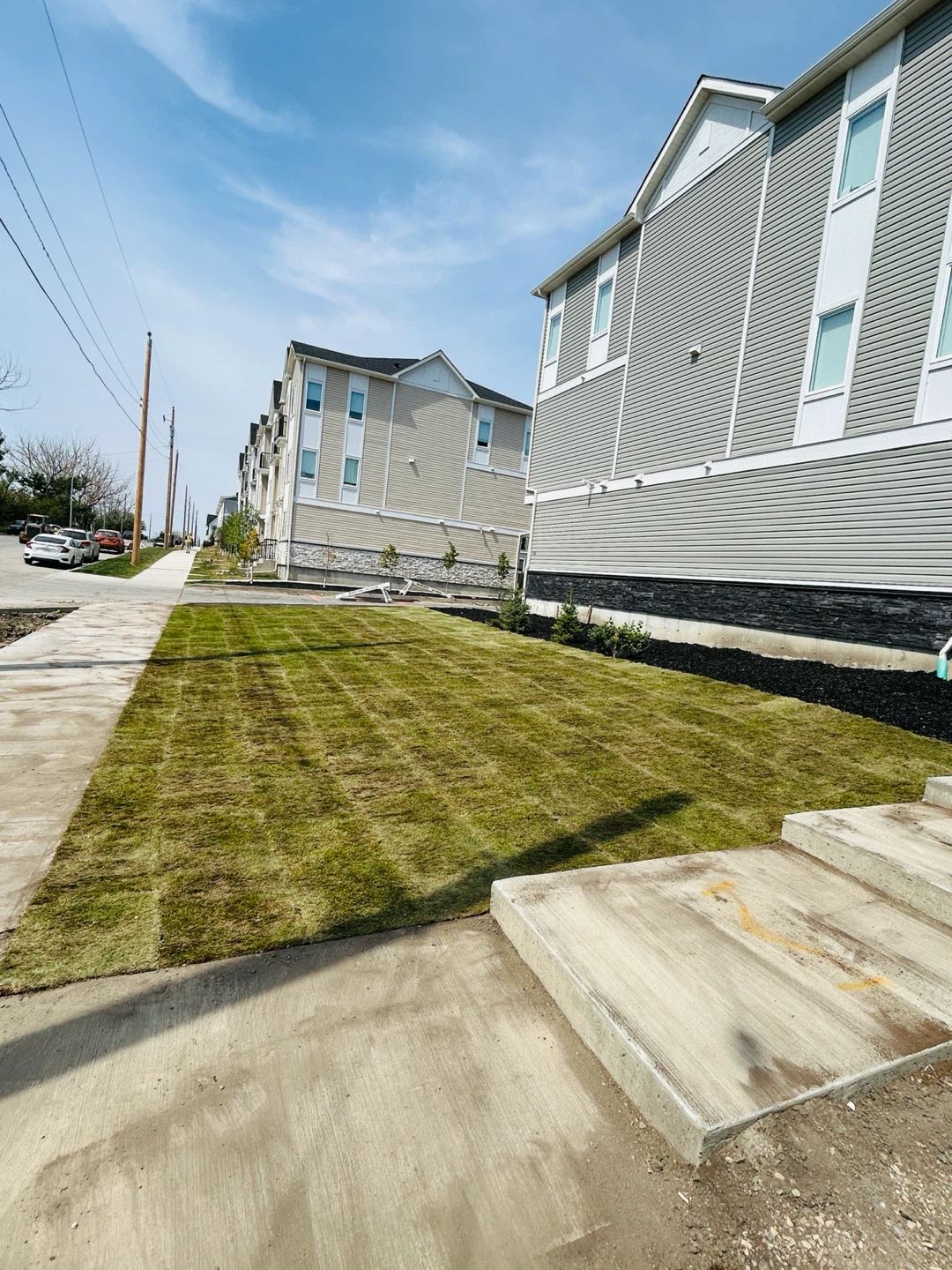 Fresh Sod Rolls - photo 4