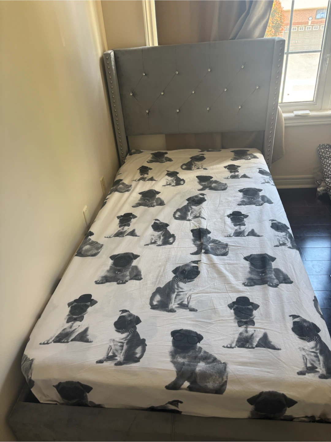Grey Velvet single  Bed Frame with Pug Print Sheet