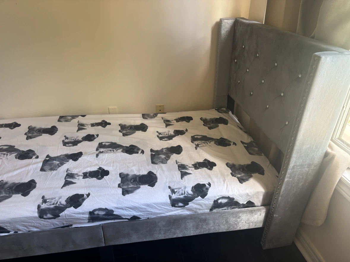 Grey Velvet single  Bed Frame with Pug Print Sheet - photo 2