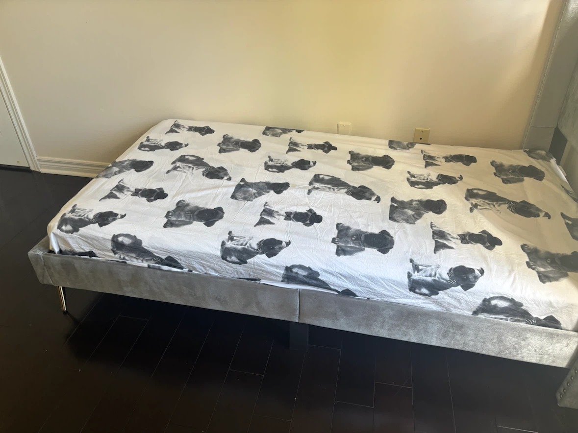 Grey Velvet single  Bed Frame with Pug Print Sheet - photo 3