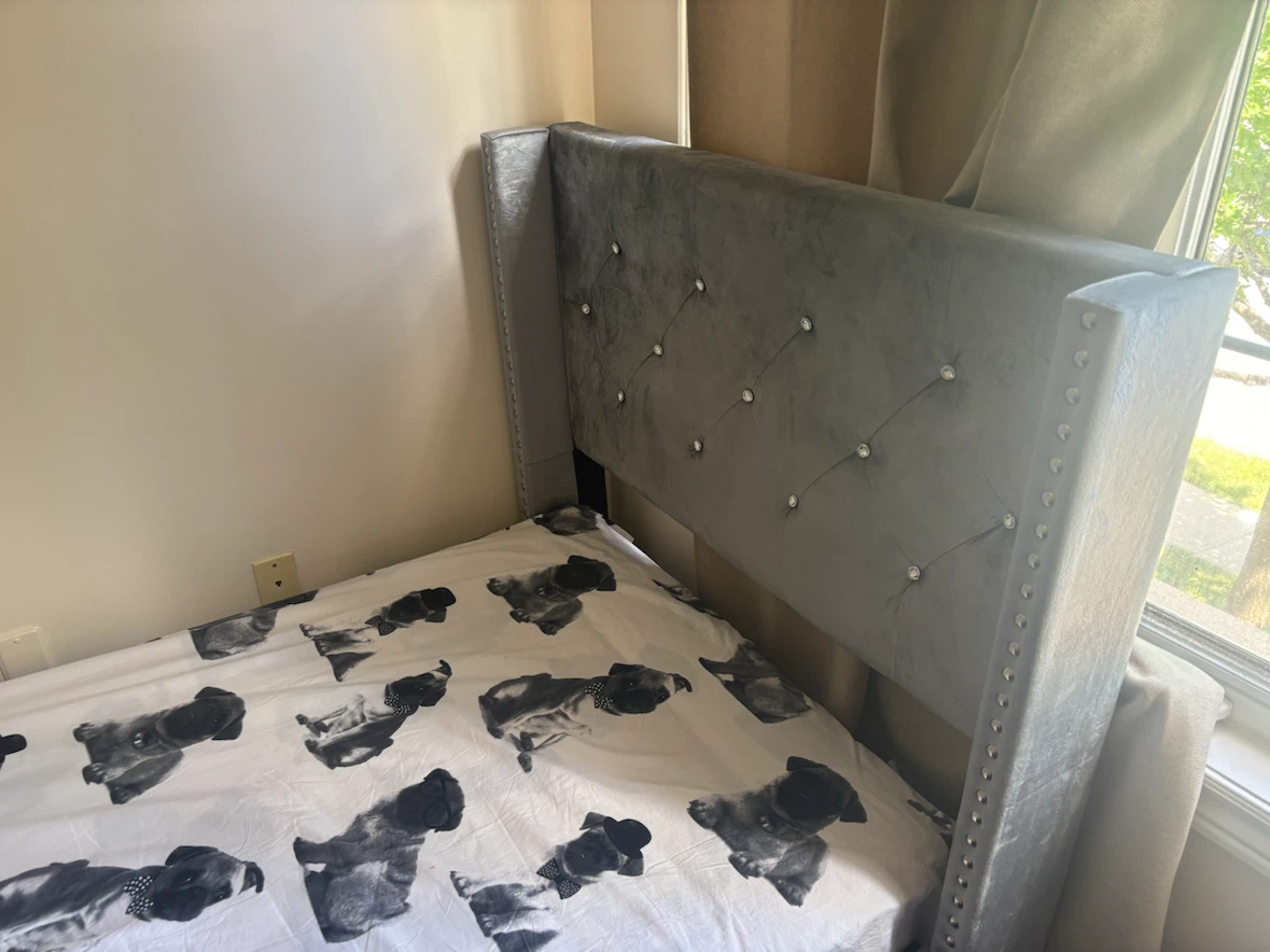 Grey Velvet single  Bed Frame with Pug Print Sheet - photo 4
