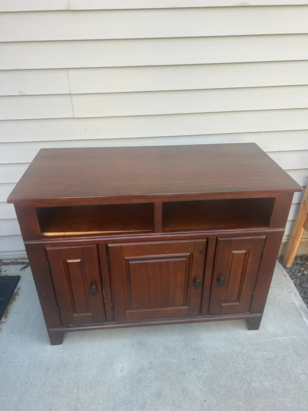 Dark Wood TV Stand with Storage