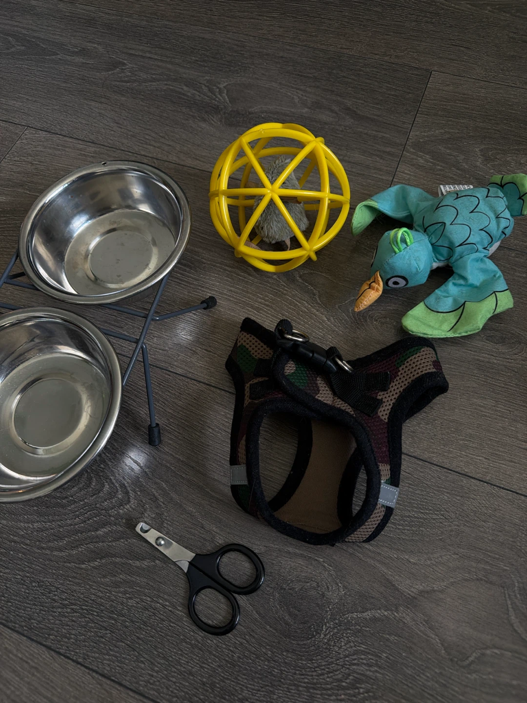 Cat Bundle (toys, bowls, harness)