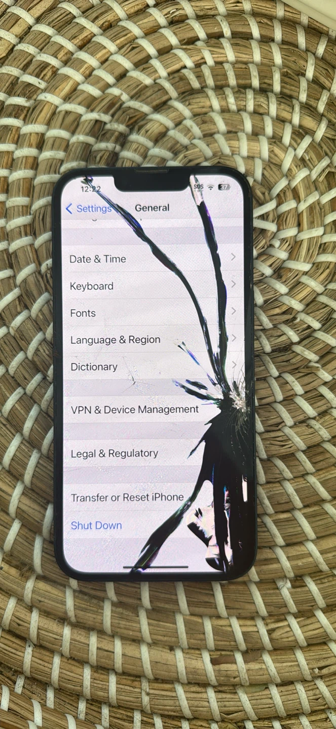 iPhone 13 Pro Max 256GB - Unlocked - $475 OBO
