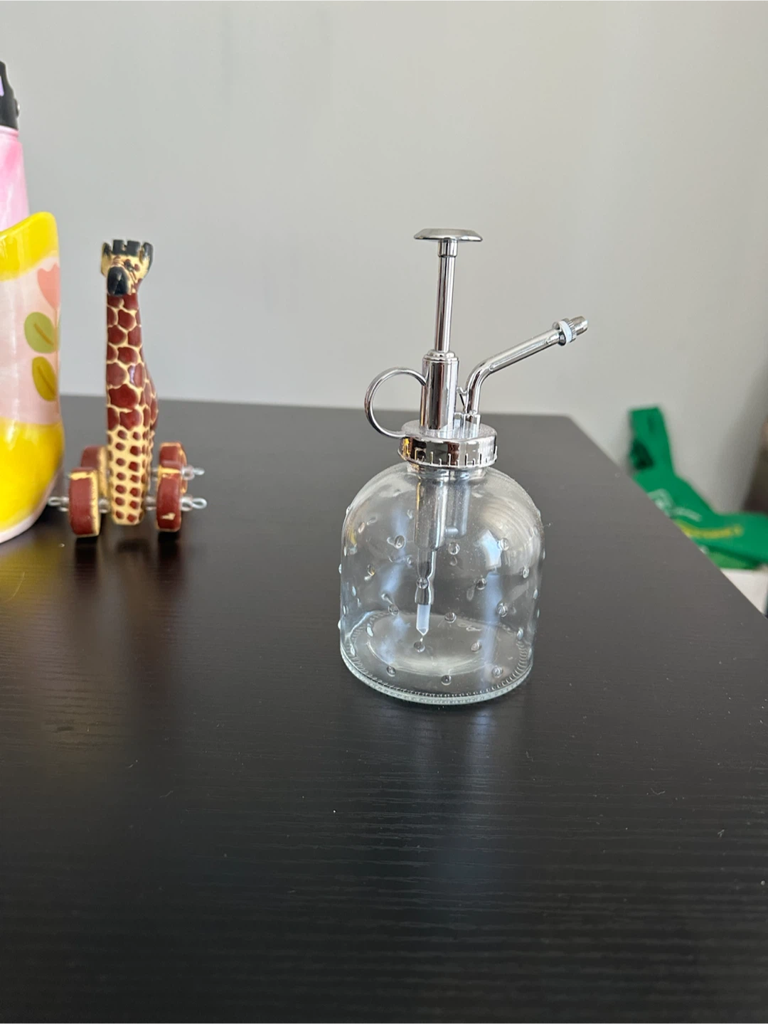Glass Plant Mister Sprayer