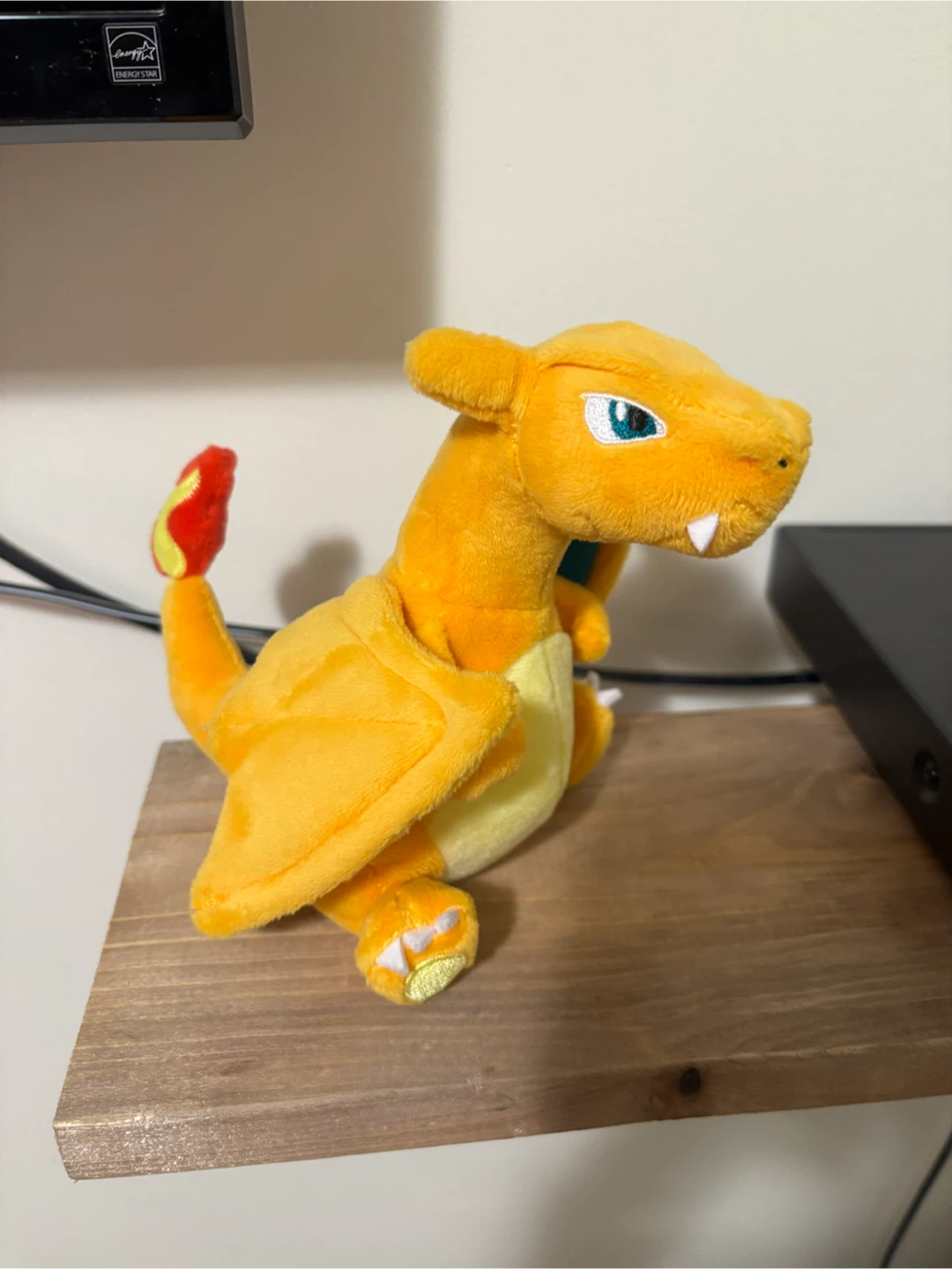 Pokemon fit Charizard