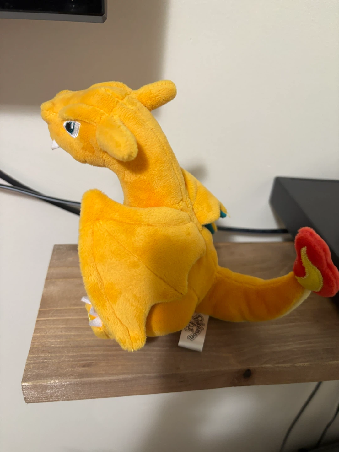 Pokemon fit Charizard - photo 2