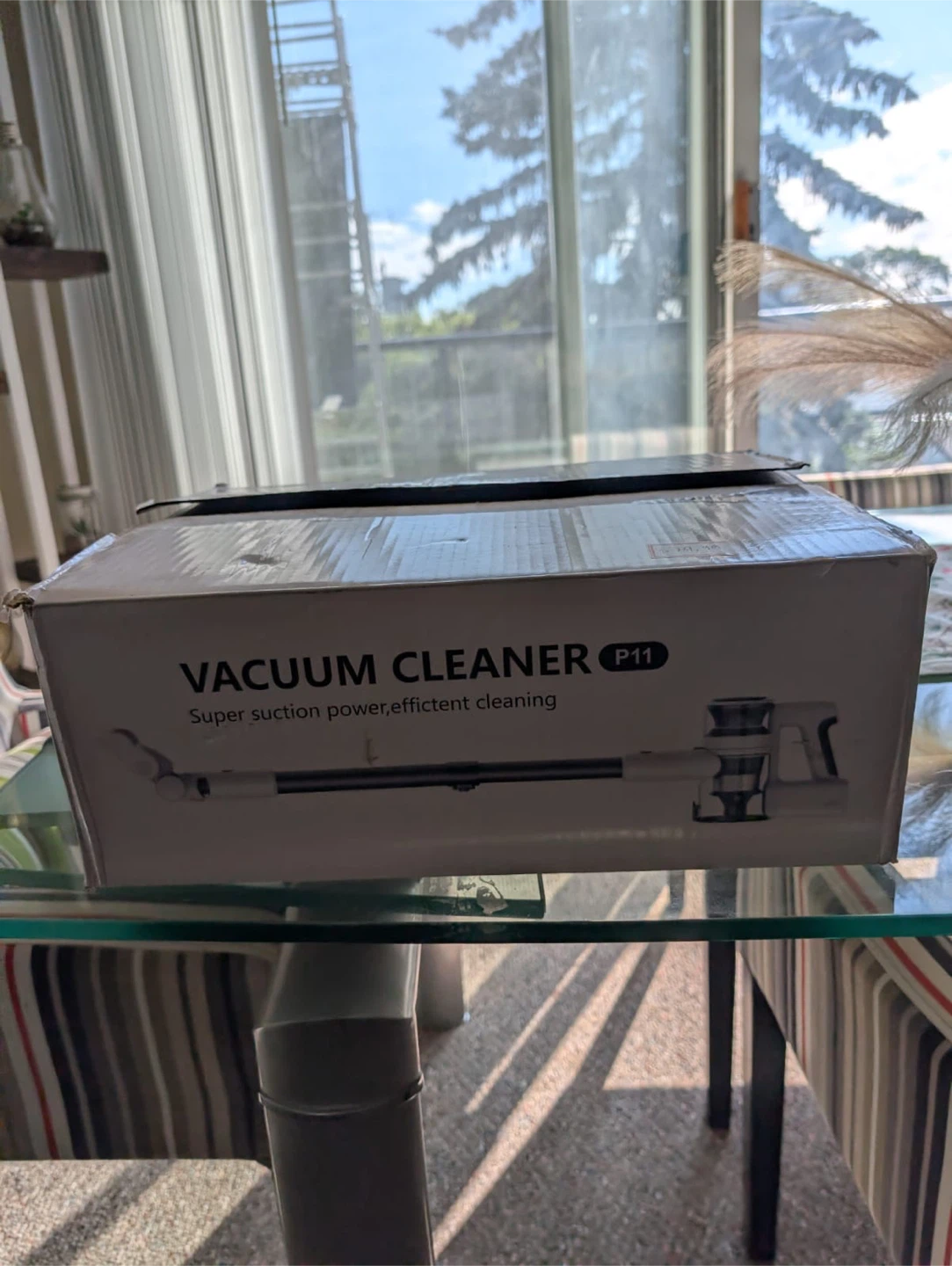 Vacuum Cleaner P11 - photo 4