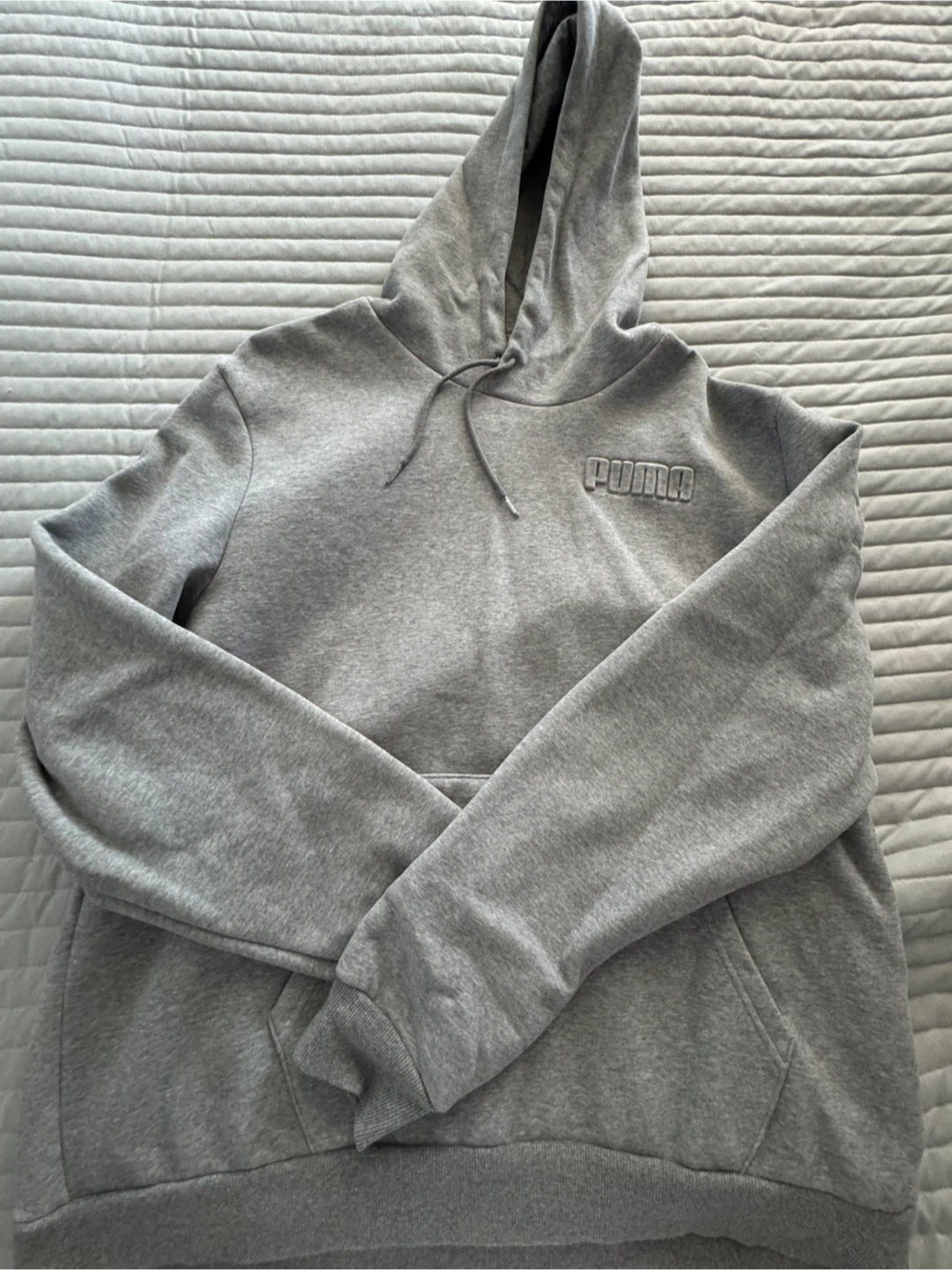 Puma Grey Hoodie