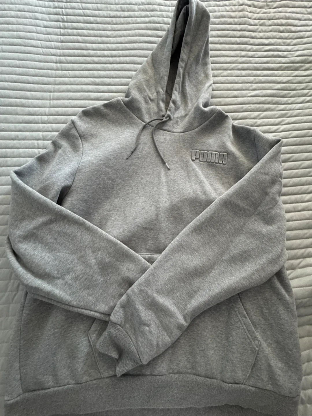 Puma Grey Hoodie