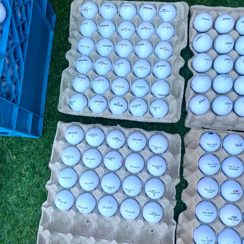 Used Golf Balls Titleist Pinnacle Top Flite Callaway & More - photo 3