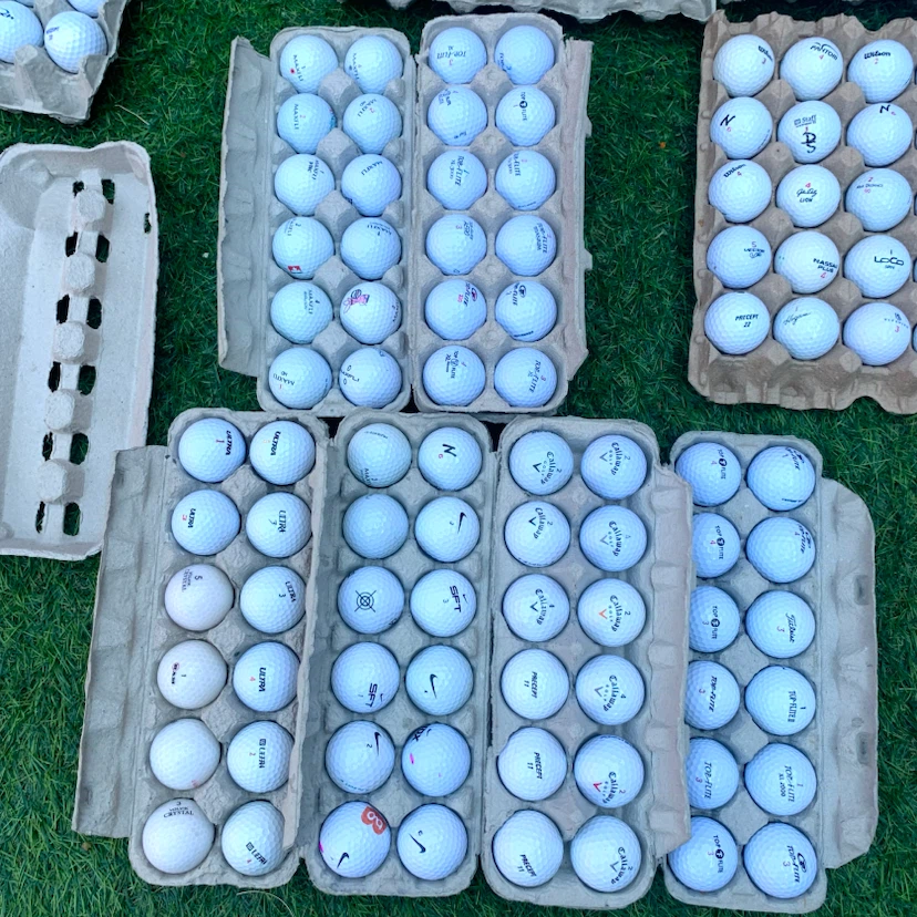 Used Golf Balls Titleist Pinnacle Top Flite Callaway & More - photo 4