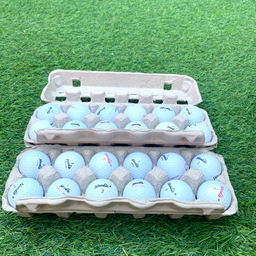 Noodle Golf Balls Used Golf Balls Quality Condition 12 Pack - photo 2