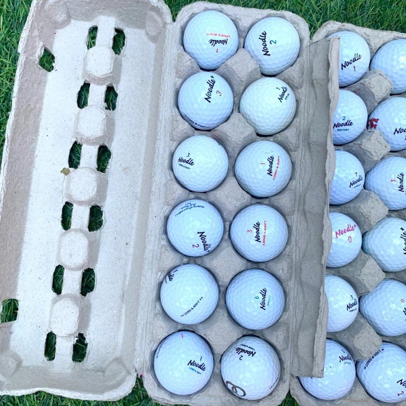 Noodle Golf Balls Used Golf Balls Quality Condition 12 Pack - photo 3