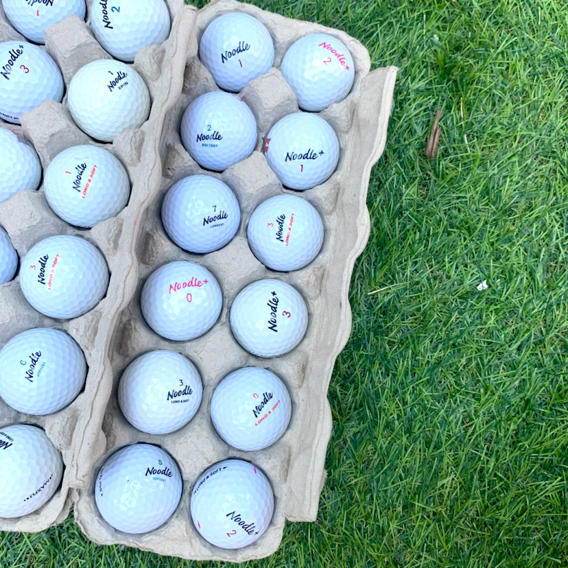 Noodle Golf Balls Used Golf Balls Quality Condition 12 Pack - photo 4