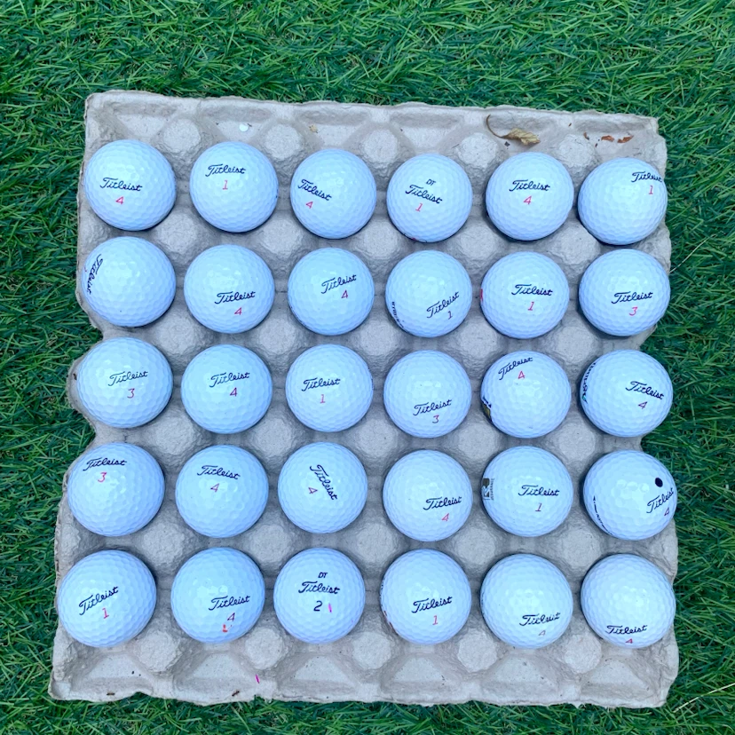 Titleist Golf Balls Used Golf Balls Quality Condition 30 Pack