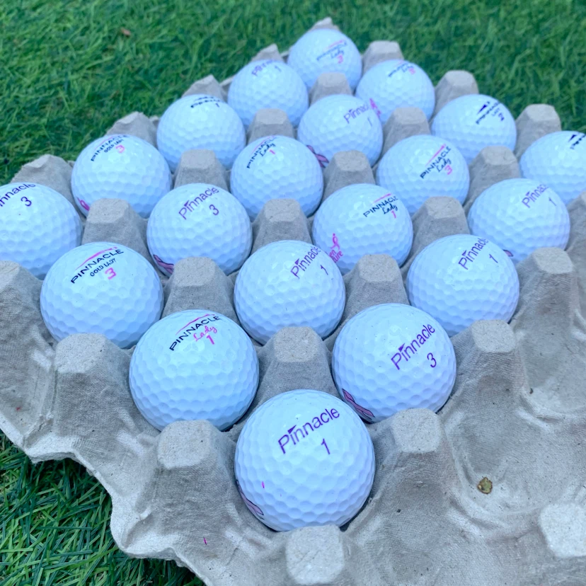 Pinnacle Lady Golf Balls Used Golf Balls Women's Golf 20 Pack - photo 3