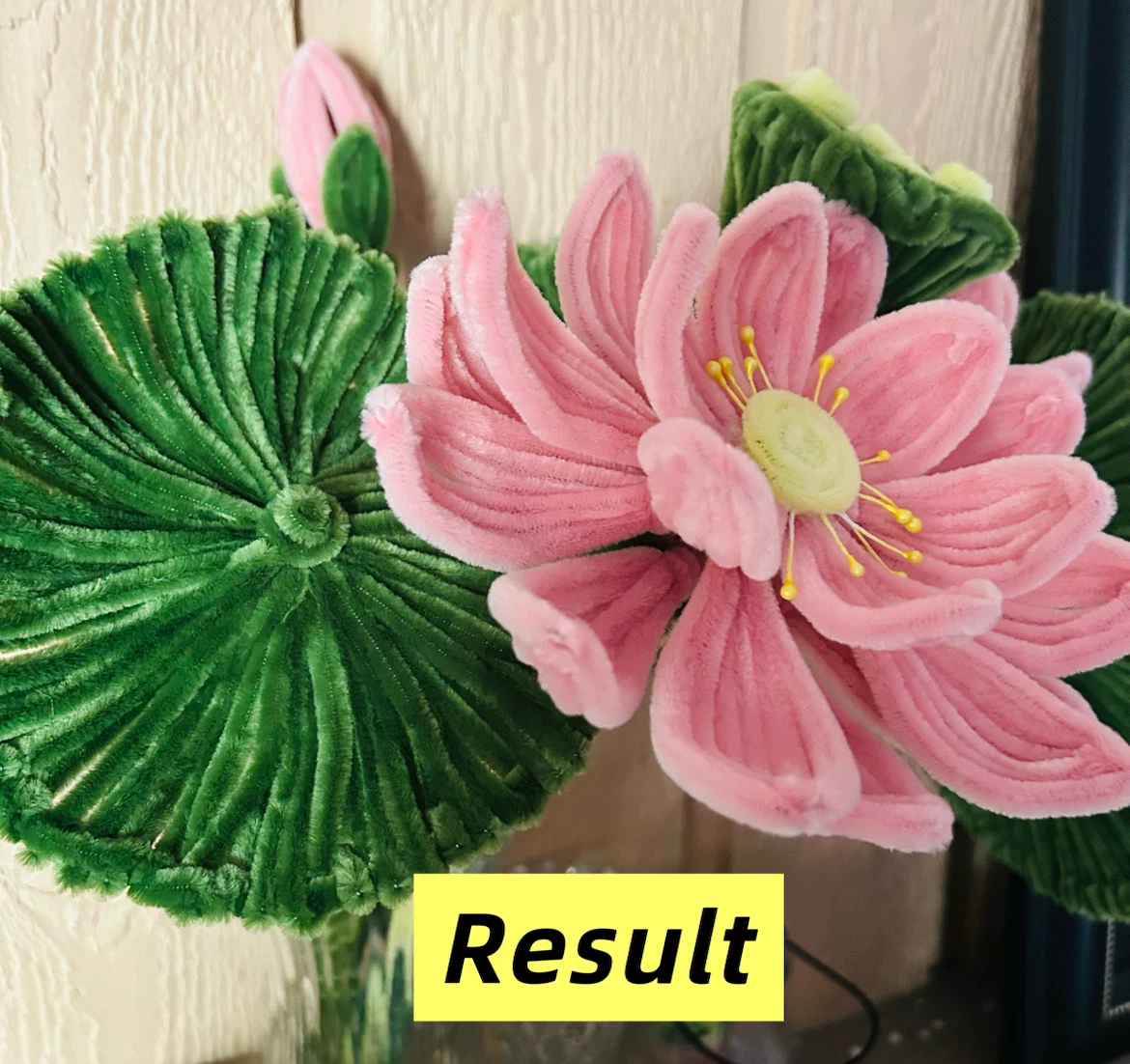 Craft pack-lotus