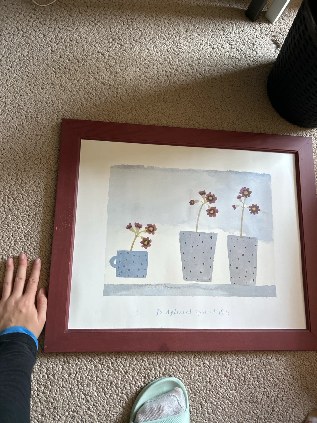 Framed Art Print