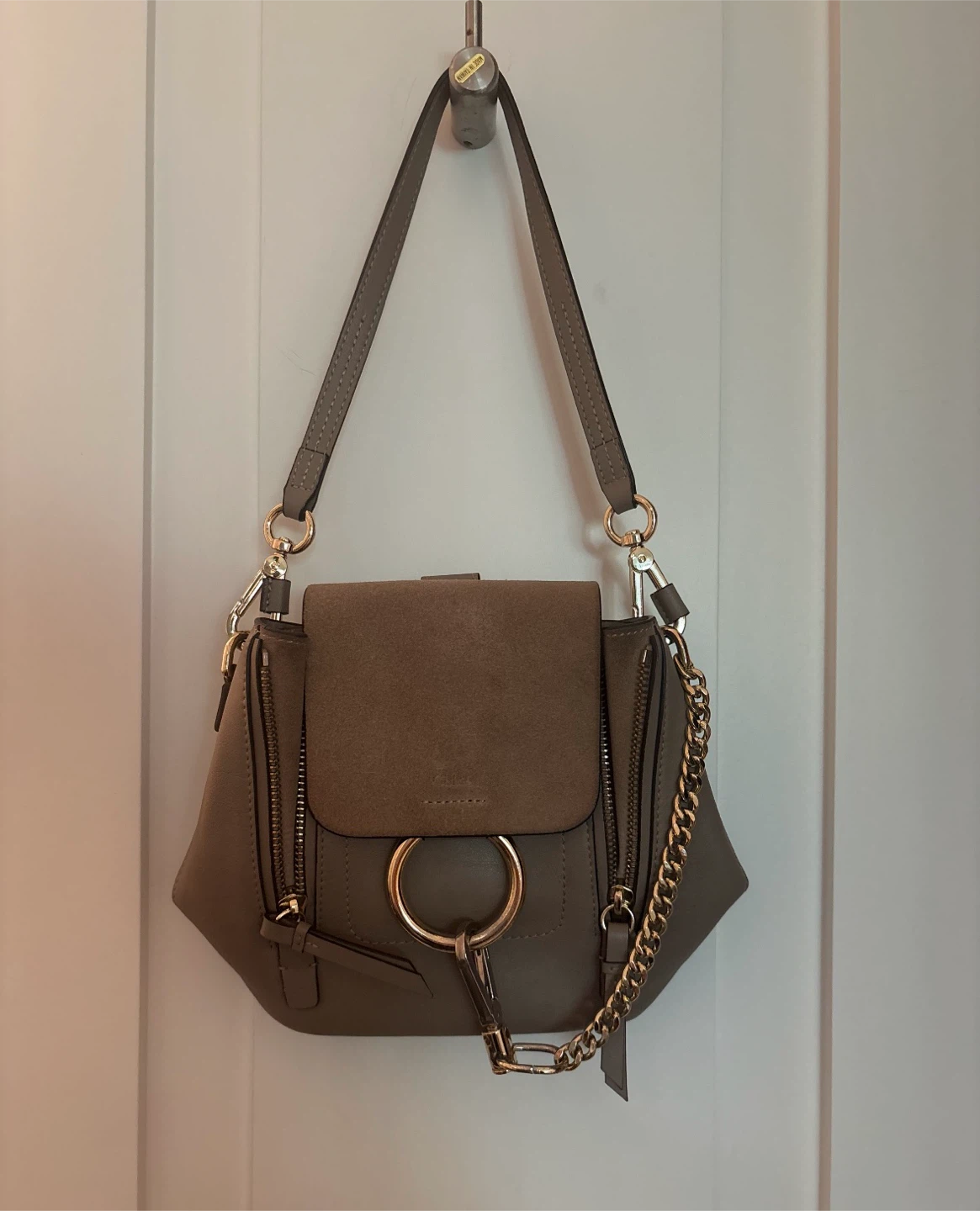Chloé mini  Faye bag/Backpack