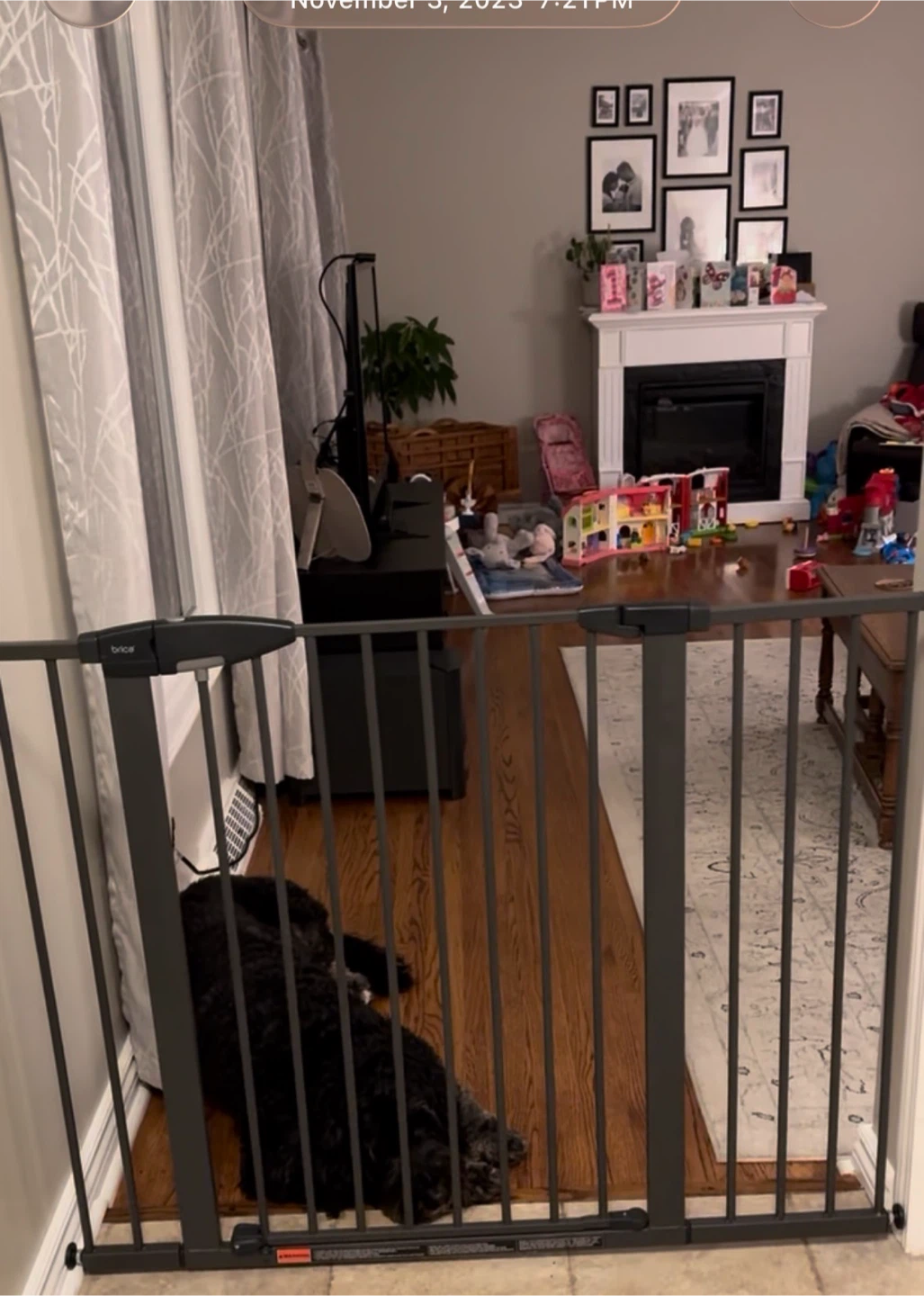 Brica Easy-Close Metal Gate — Extra Tall & Wide