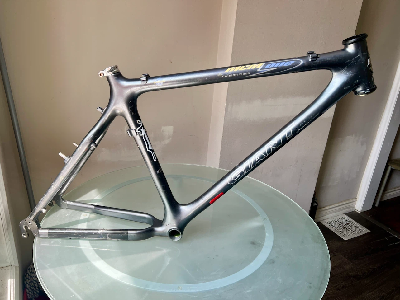 GIANT Full Carbon Frame MCM 1 One  19”Medium  Large Handmade.