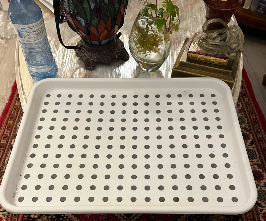 Plastico Dish Rack and Drip Tray and rice or soup bowls - photo 4