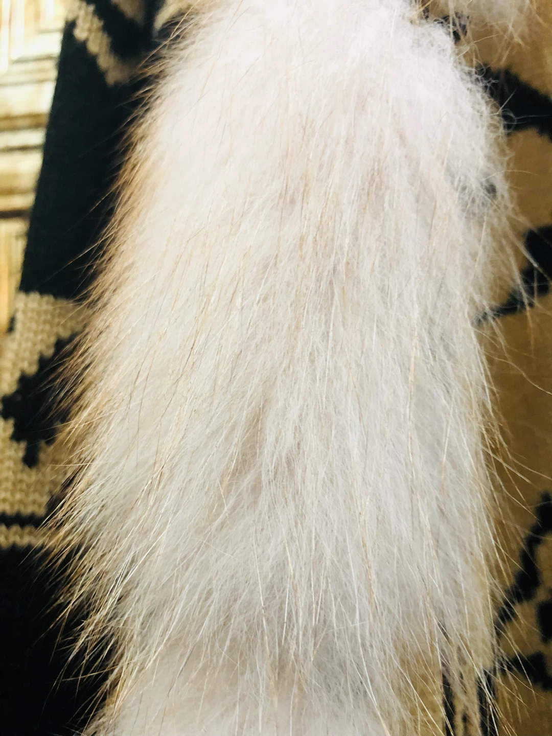 Monogram Knit Cardigan with Fox Fur Trim - photo 5